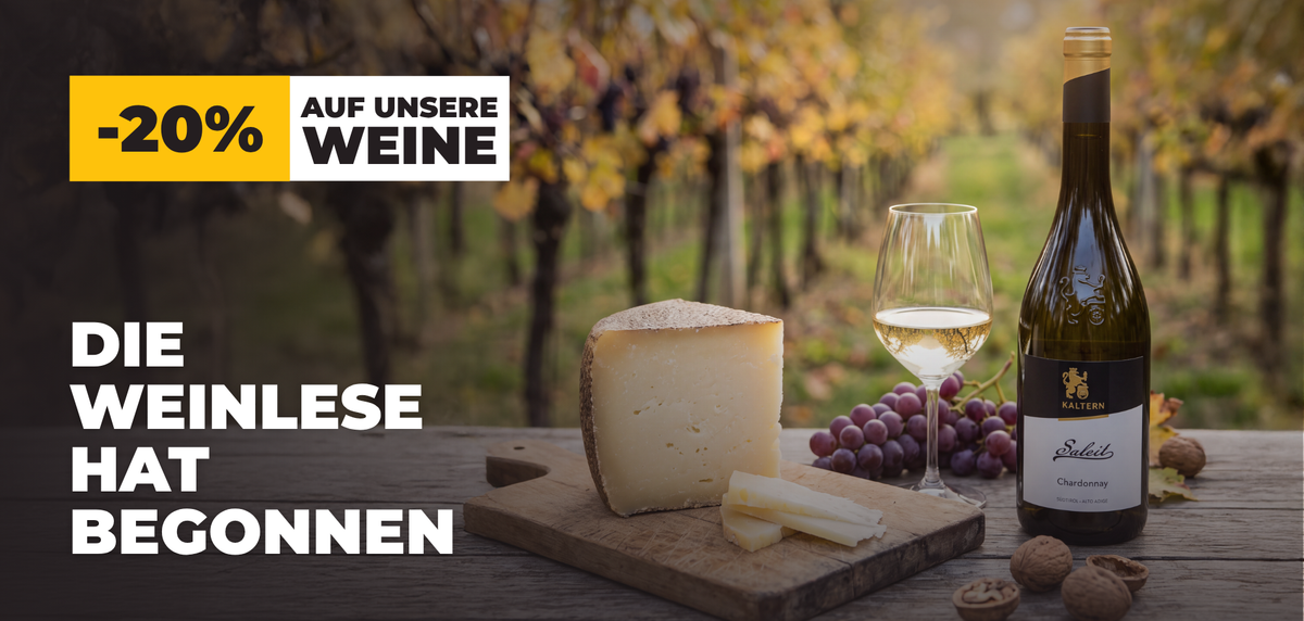 Weinlese: -20% auf unsere Weine