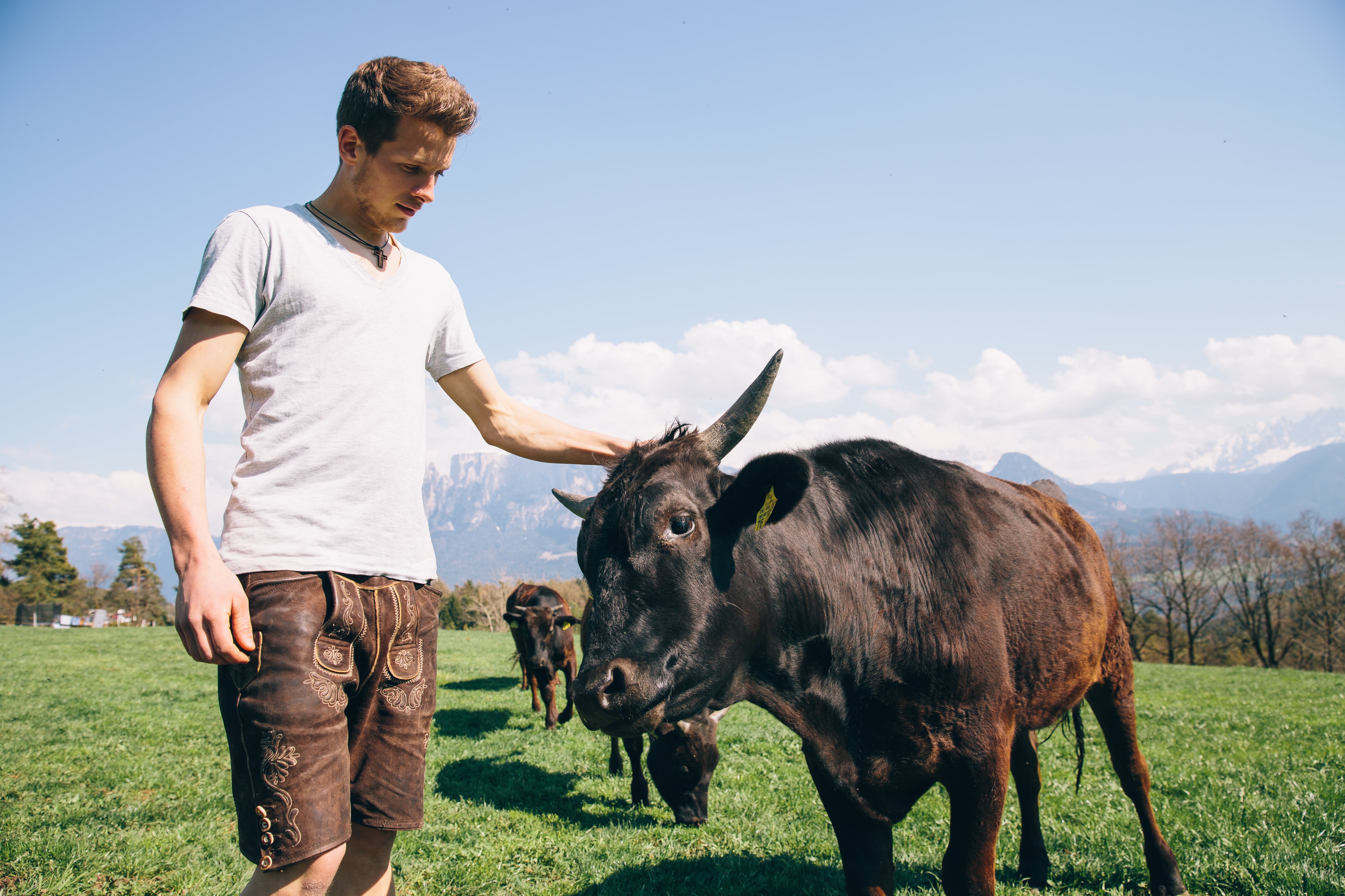 Degustations Set Wagyu Südtirol Standart