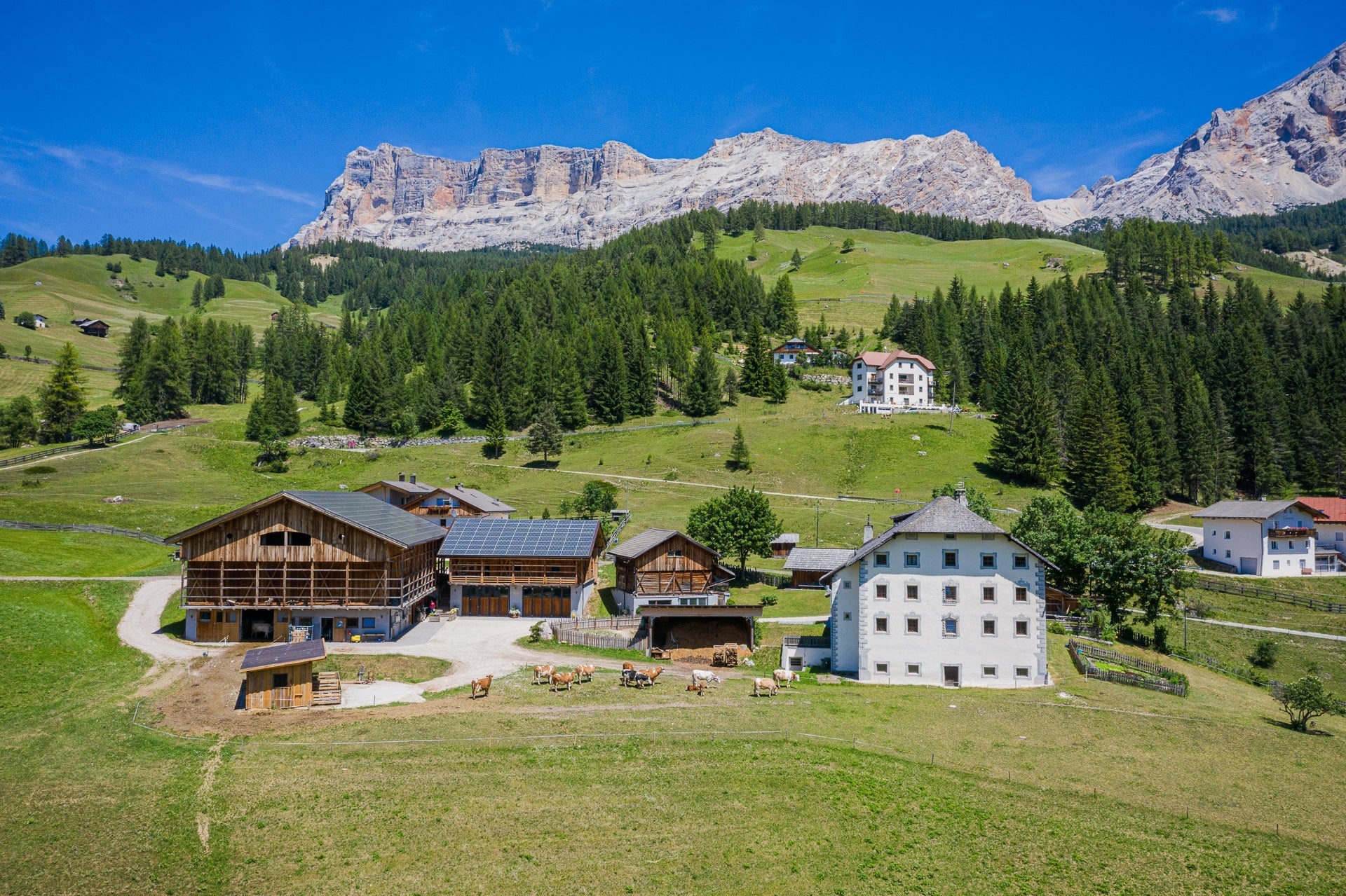 AlpenFein Gold Schinkenspeck ohne Pökelsalz vom Südtiroler Bergbauernhof ca. 5,5kg