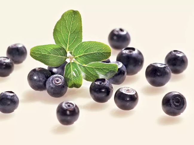 Wald-Heidelbeeren – Marmelade / Fruchtaufstrich 360g
