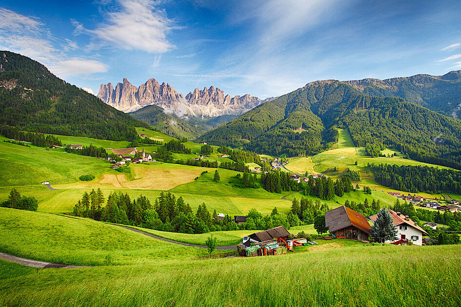Alpenfein