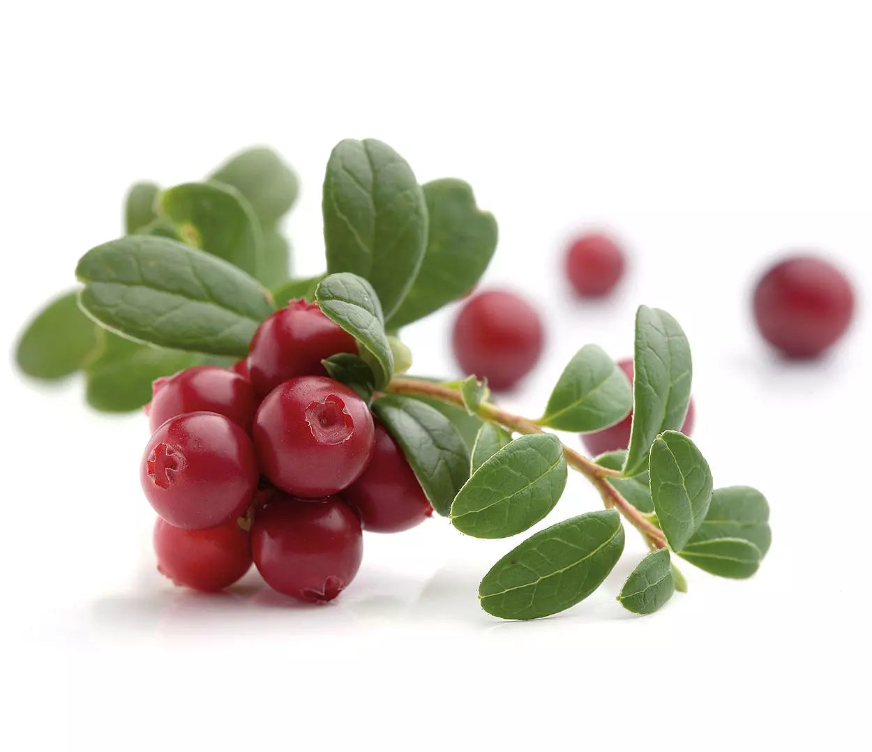 Gilli Cranberries getrocknet 150g