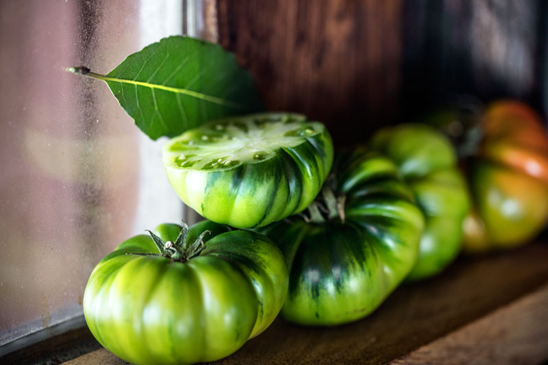 Chutney Feige & grüne Tomate 70g 
