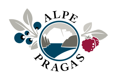 Fragula - Fruchtaufstrich Erdbeere 335g